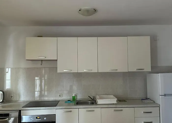 Markovic 公寓 奥瑞比克