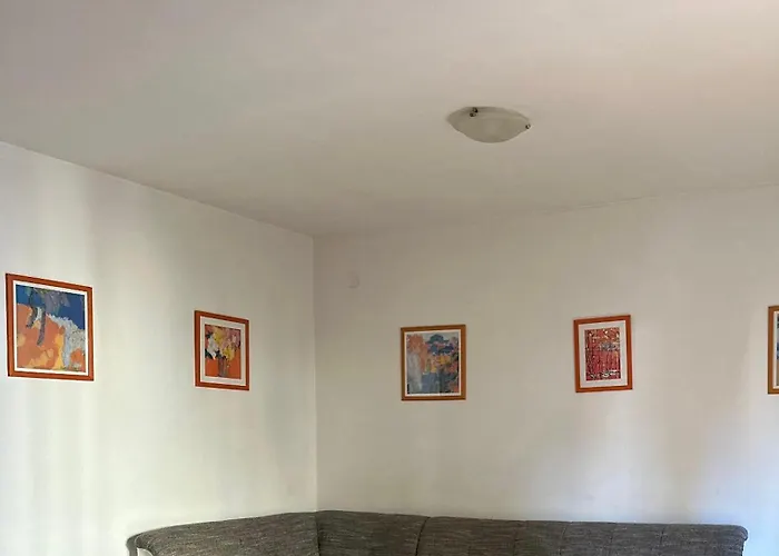 Markovic 奥瑞比克