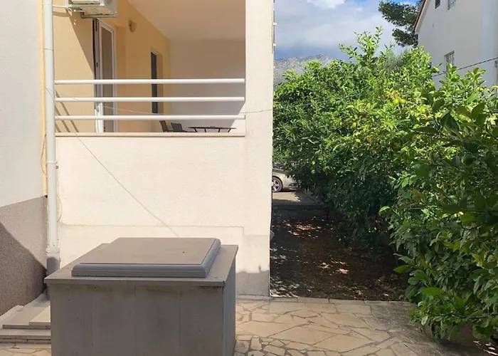 Markovic * 奥瑞比克