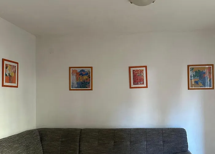 Markovic 奥瑞比克